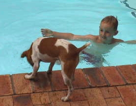 and of course buster with mario 01/2001